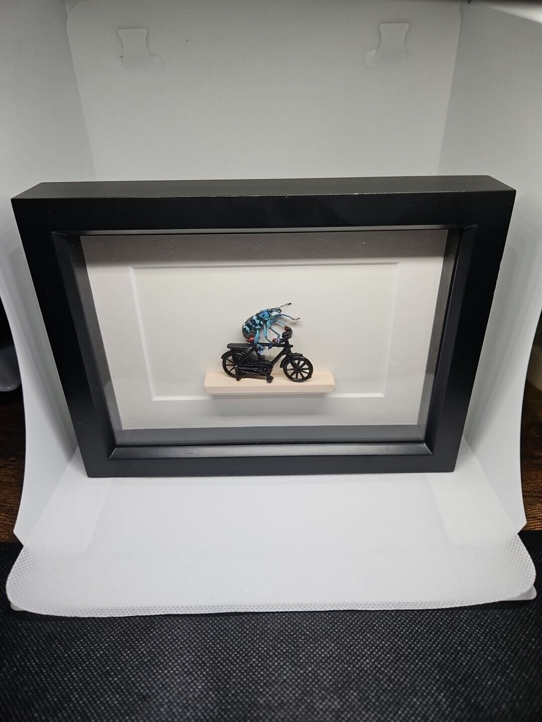Collectible Bike Beetle Framed Art Insects RARE Beetle Riding Bicycle 