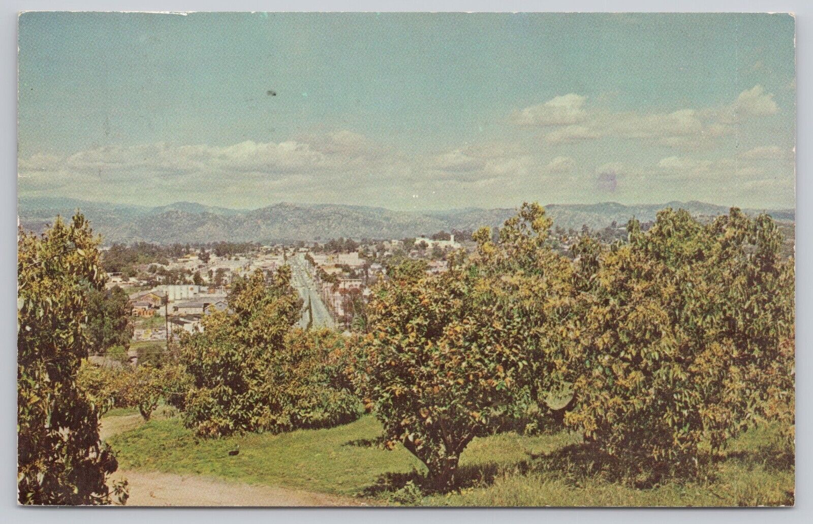 Escondido California, View from Citrus Grove, San Diego County, Vintage Postcard