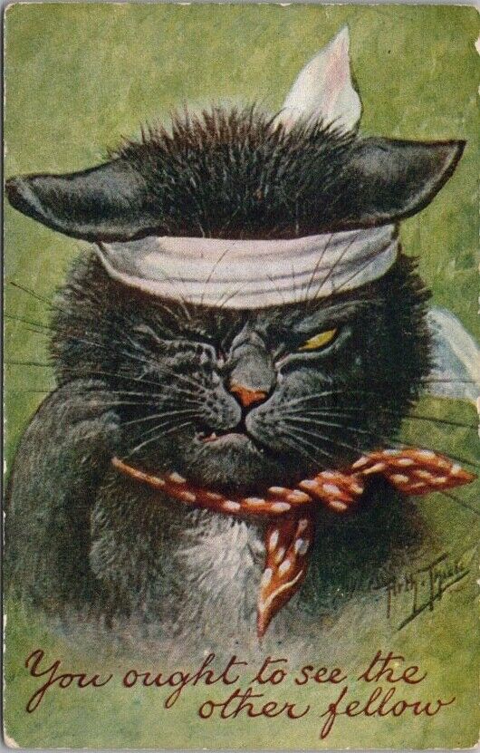 1911 Artist-Signed ARTHUR THIELE Cat Postcard You Ought to See the Other Fellow