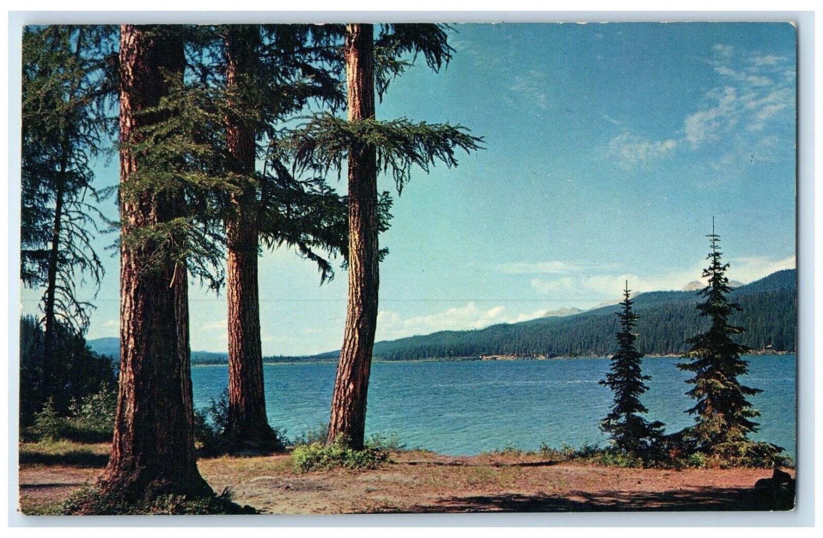 c1950's View Of Seeley Lake Near Missoula Montana MT Unposted Vintage Postcard