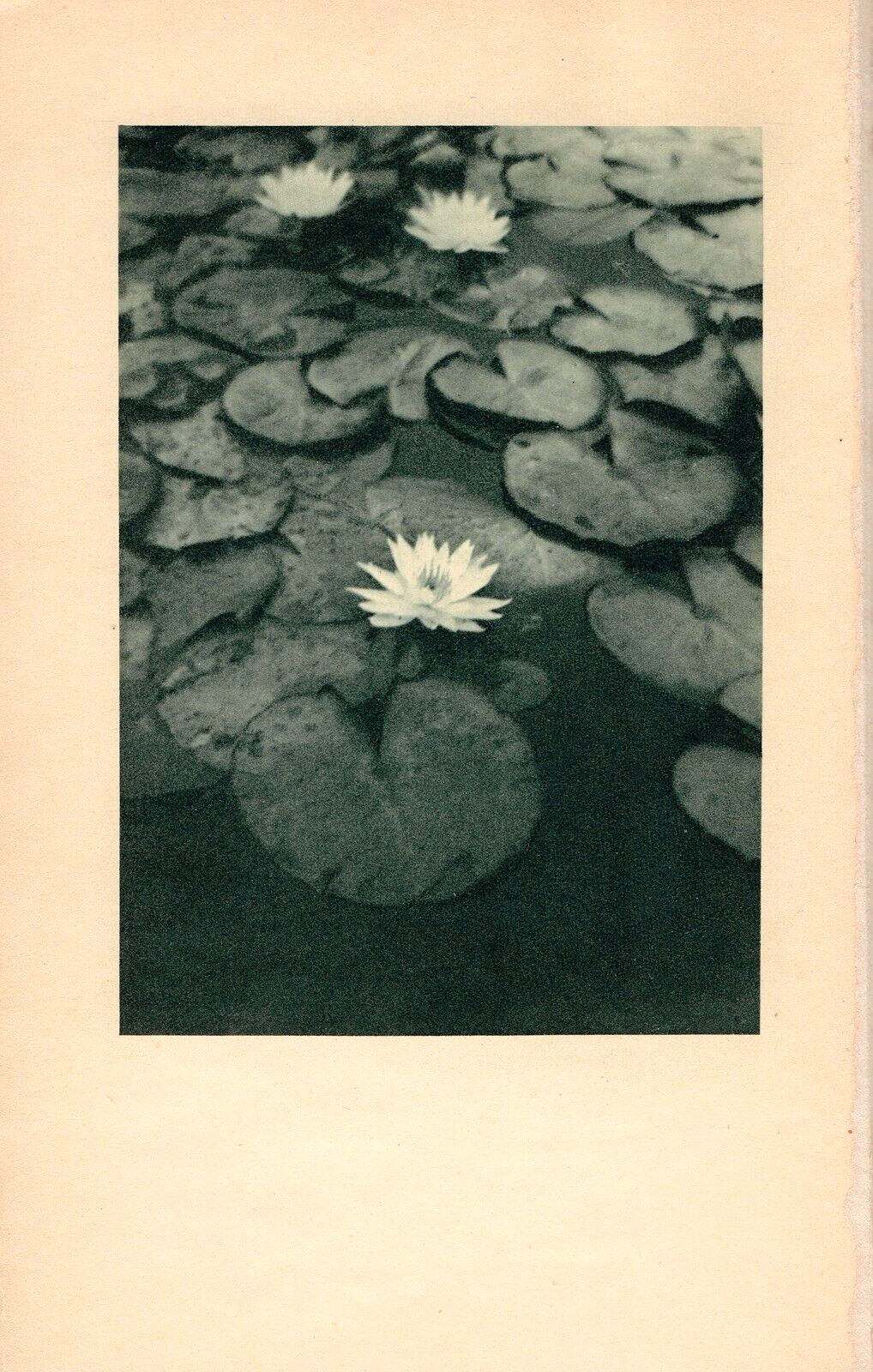 ALVIN LANGDON COBURN, Antique 1911 Photogravure Pictorial Stieglitz Contemporary