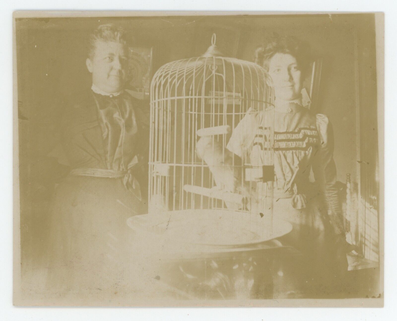 Antique Circa 1890s Unique Print of Two Women Posing With A Parrot in a Cage