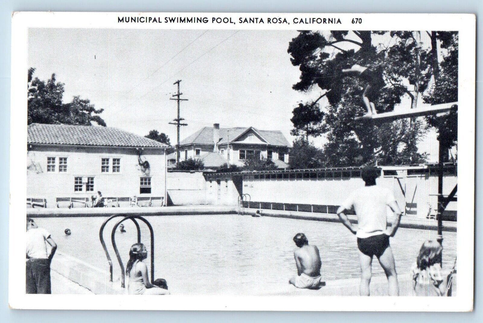 Santa Rosa California Postcard Municipal Swimming Pool c1940 Clear View Unposted
