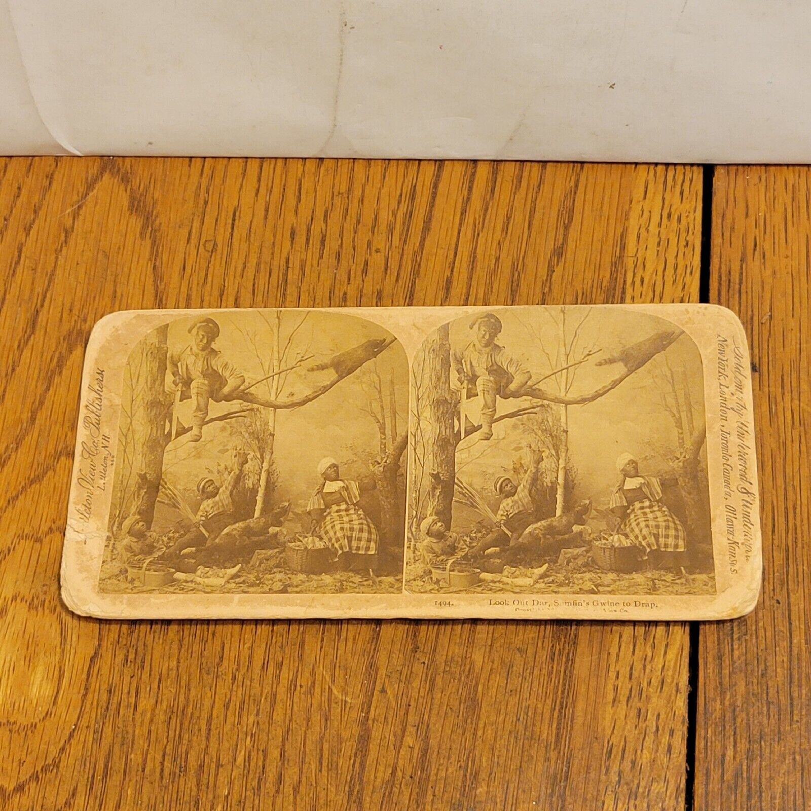 ANTIQUE 1889 STEREOVIEW CARD PHOTO 