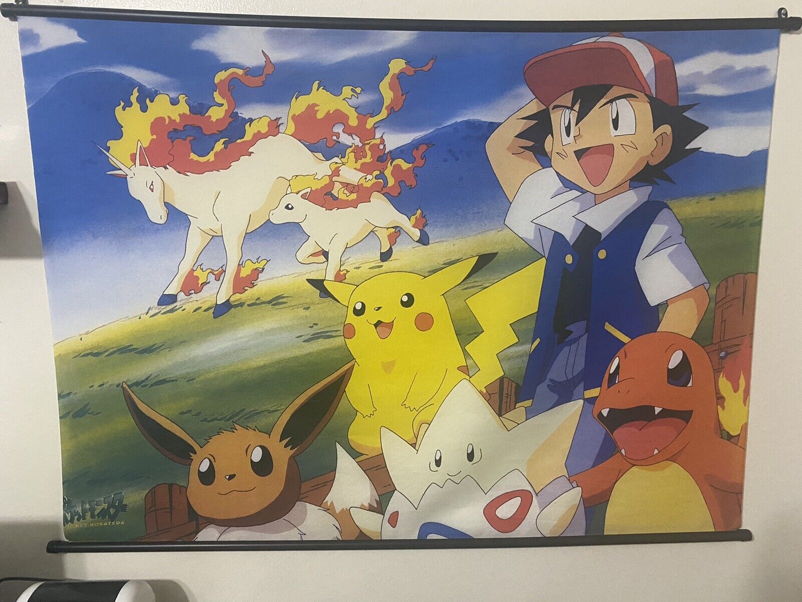 Pokémon Pocket Monsters Banner or flag or poster - Vintage 90’s Era