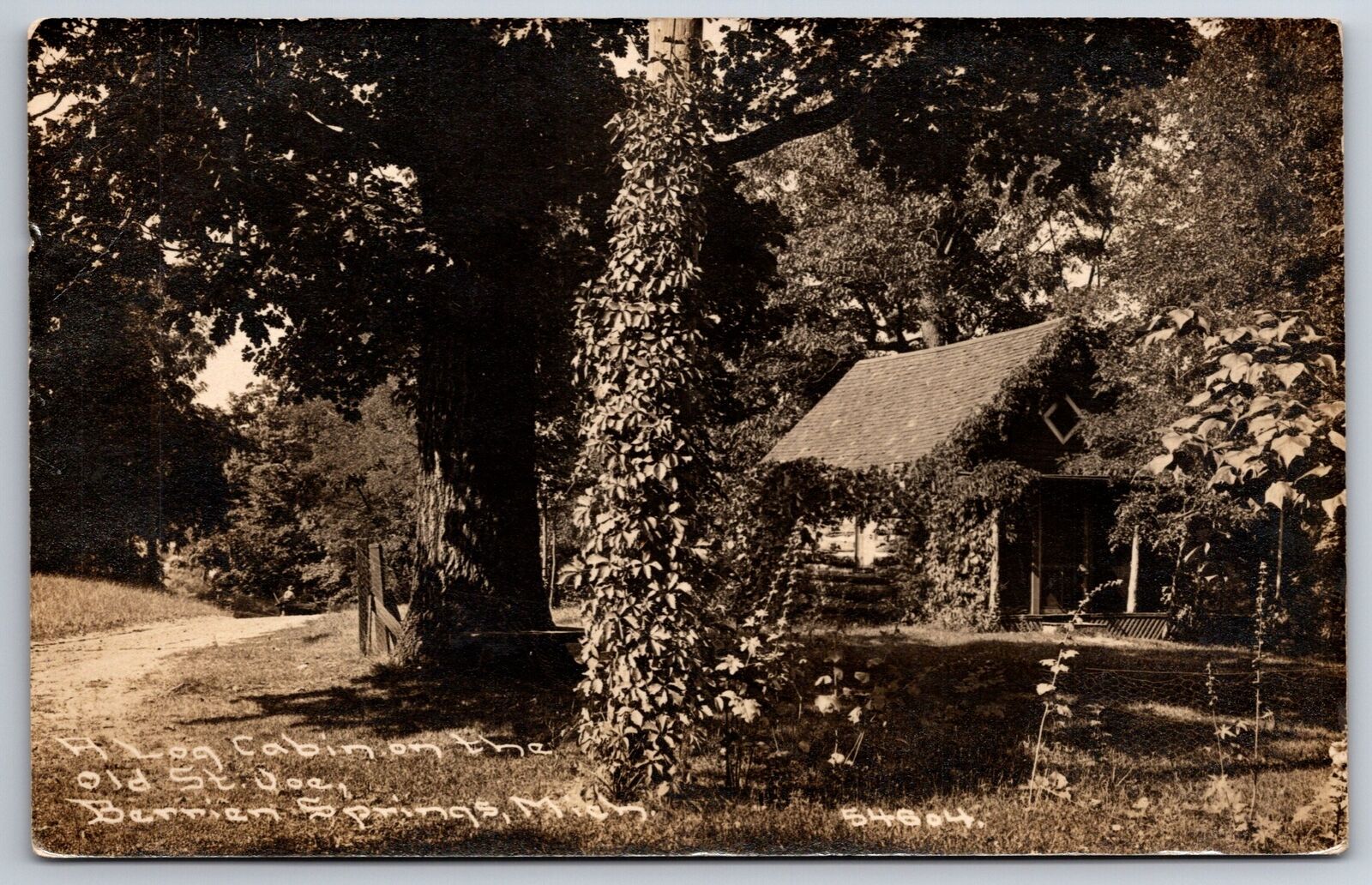 Berrien Springs MI Path by A Log Cabin On The Old St Joe~RPPC CR Childs 1912
