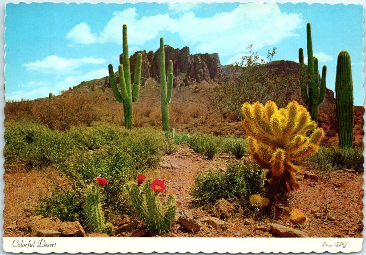 Postcard - Colorful Desert