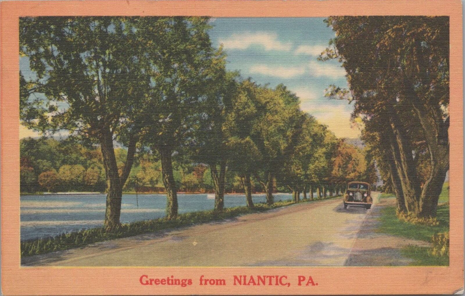 Postcard Greetings from Niantic PA 