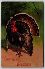 PFB Thanksgiving~Turkey Struts Full Fan on Path~Embossed~Series 7721~1909 PC picture