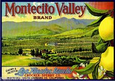 Montecito Valley Santa Barbara County Lemon Citrus Fruit Crate Label Art Print picture
