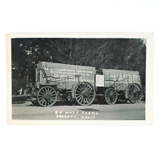 Borax 20 Mule Team RPPC Postcard 1920s Death Valley California Wagon Photo C1861 picture