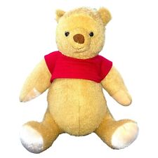 Disney Store Winnie The Pooh Christopher Robin Live Action Plush picture