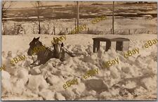 Postcard Horse and Buggy in Snow Drift RPPC Real Photo Eo picture