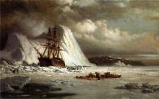 Oil painting nice landscape Icebound-Ship-William-Bradford-free shipping cost picture