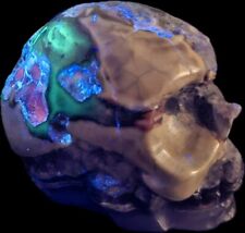AMAZING Rare 3 Coloured UV REACTIVE Volcano Agate Skull picture