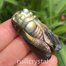 2 '' Natural Labradorite Quartz Hand Carved Cicada skull Crystal Healing gift1pc picture