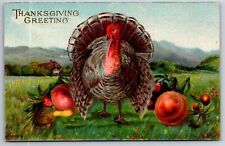 Thanksgiving~Turkey Struts In Meadow~Exaggerated Nuts & Fruit~Embossed~c1910 picture