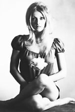 SHARON TATE 24x36 inch Poster B&W 24x36 inch Poster PRINT picture