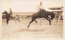 RPPC Bucking Bronco Jesse Coats on Black Cat Horse Cheyenne Wyoming Postcard picture