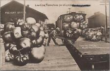 RPPC Postcard Exaggeration Loading Tomatoes  picture