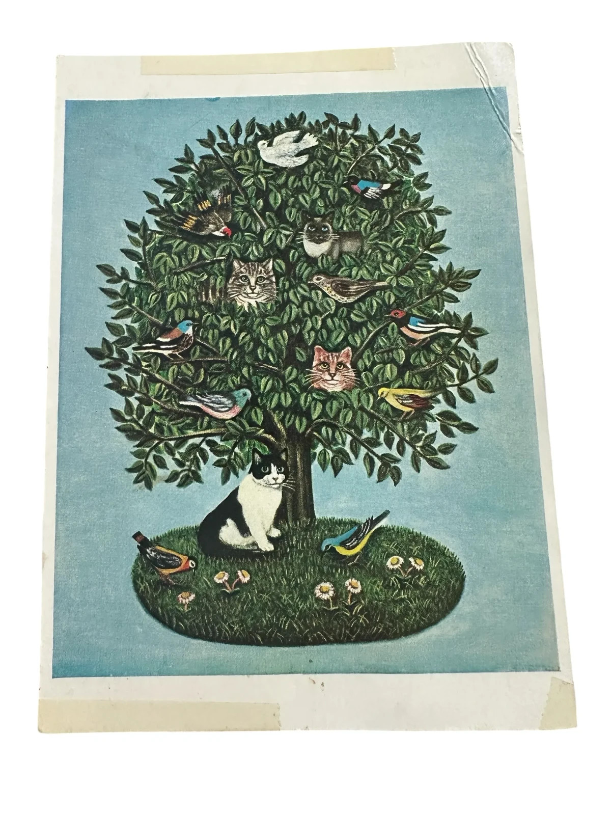Postcard The Co-Existence Tree Painting by E. Box Cat Bird in Tree