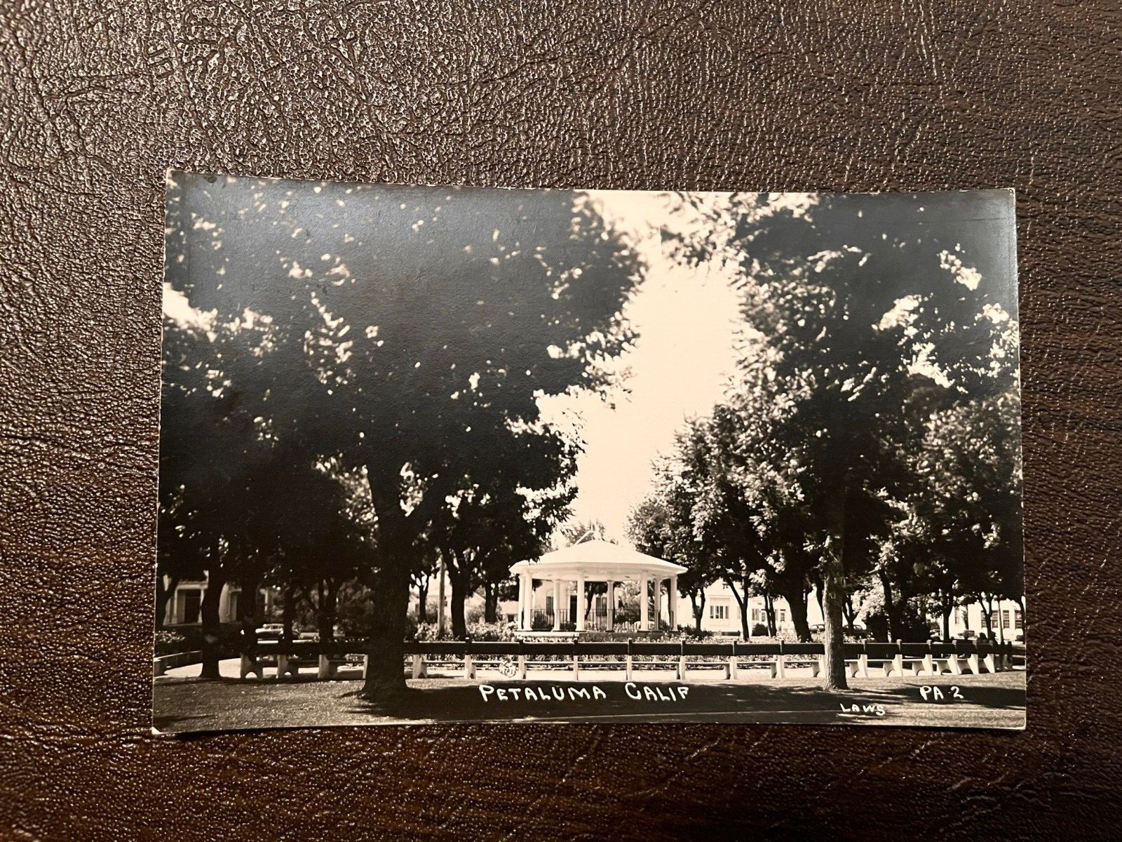 RPPC Petaluma California - Scene in the Town Park or Plaza - 1940s Sonoma County