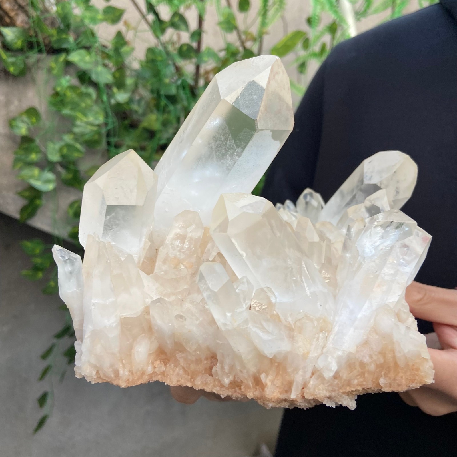 6.2LB  A++Large Natural clear white Crystal Himalayan quartz cluster /mineralsls