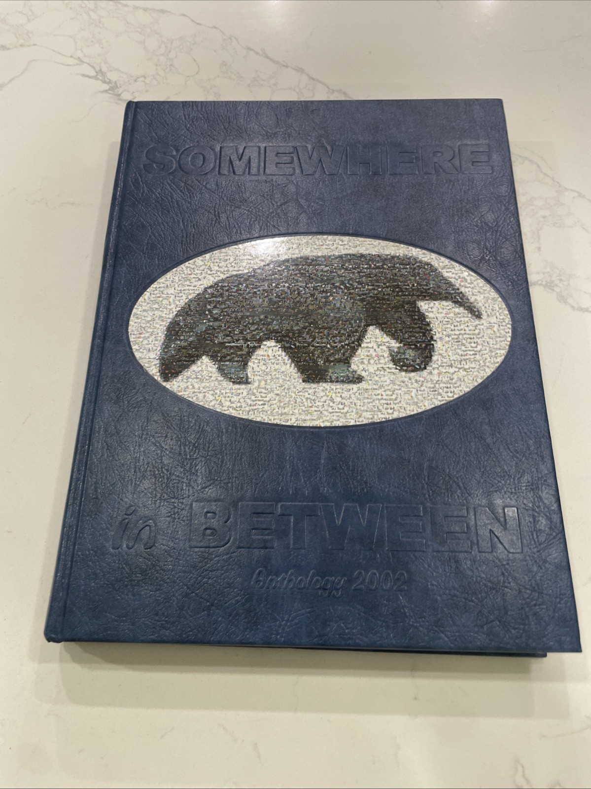 2002 University of California Irvine UCI Yearbook Anteater Hardcover