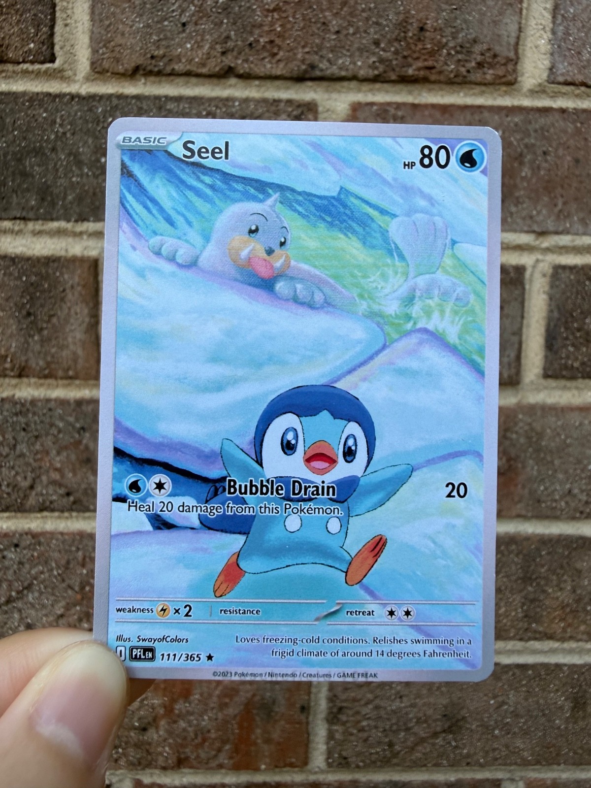 Seel and Piplup Fan Art Trading Card Handmade Custom Collectible Card