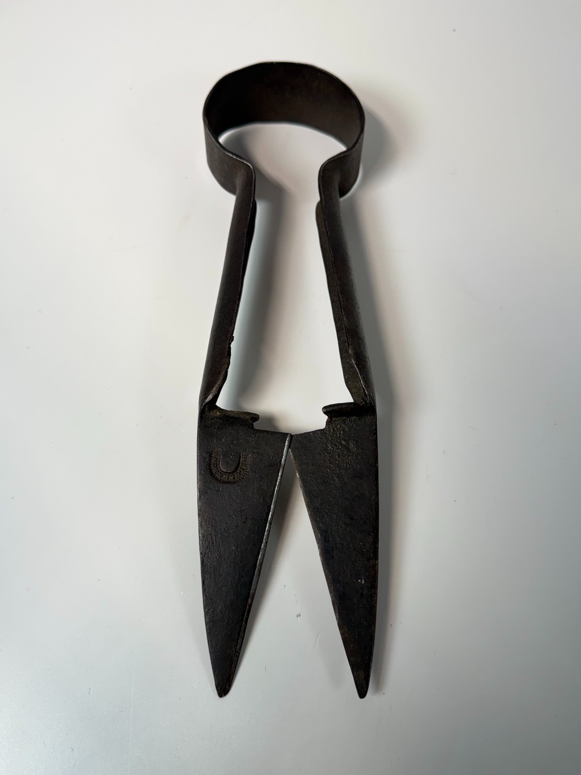 Antique Hilger & Sons Sheep Shears 10.5\