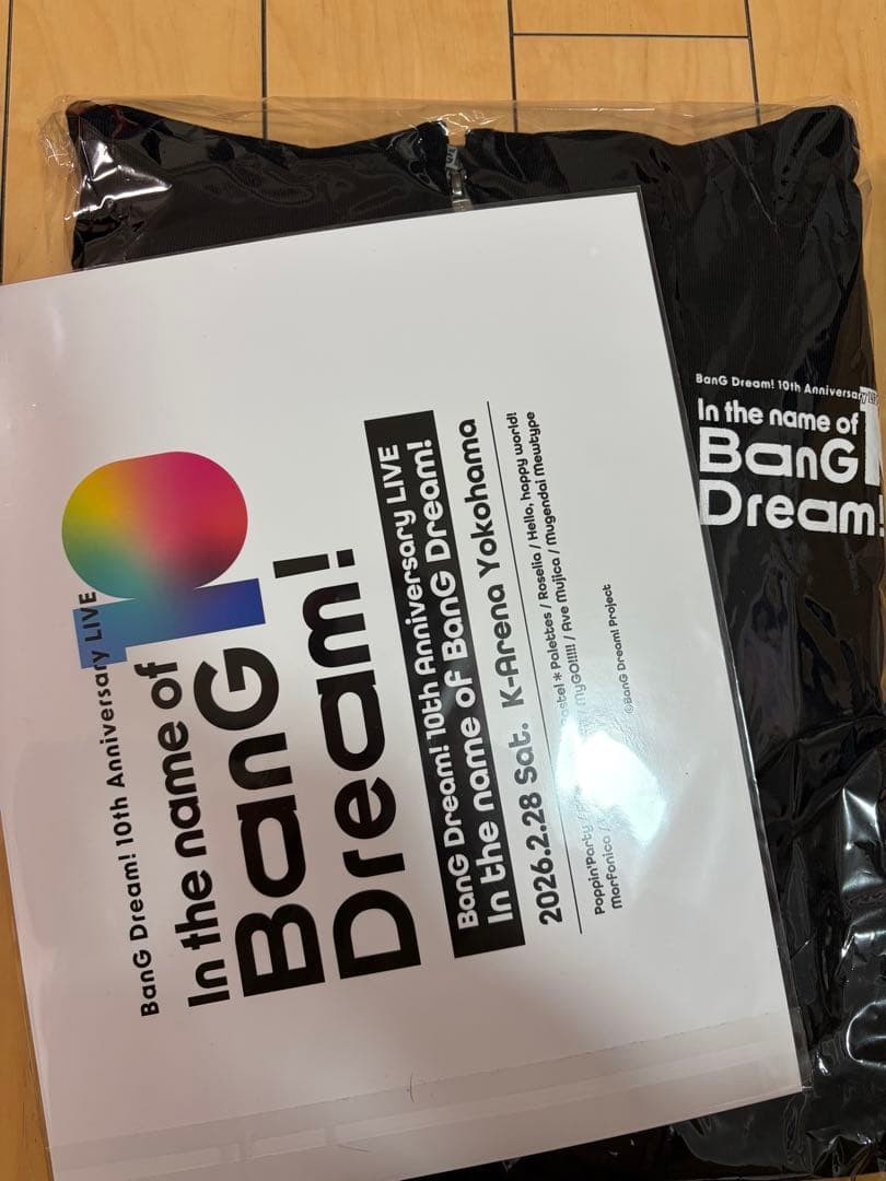 BanG Dream 10th AnnIversary Special Hoodie with Leaflet Featuring Cast