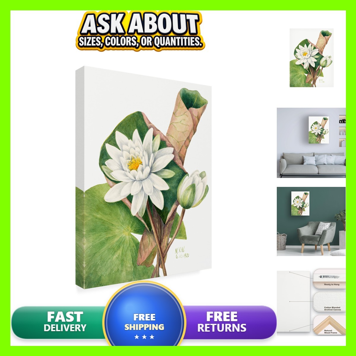 Trademark Fine Art American Waterlily Canvas Art 32x24