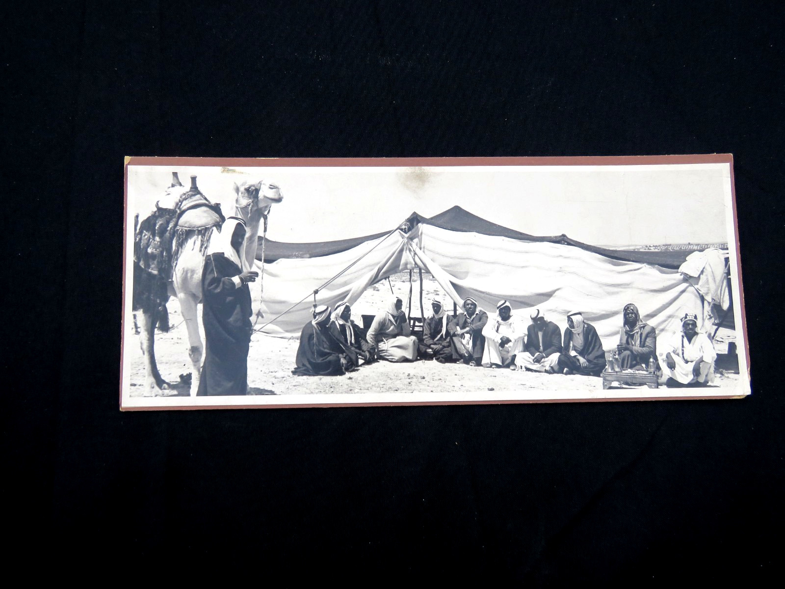 Vintage Photo Desert Camp Tents Encampment Camel Arabs Middle Eastern Subjects