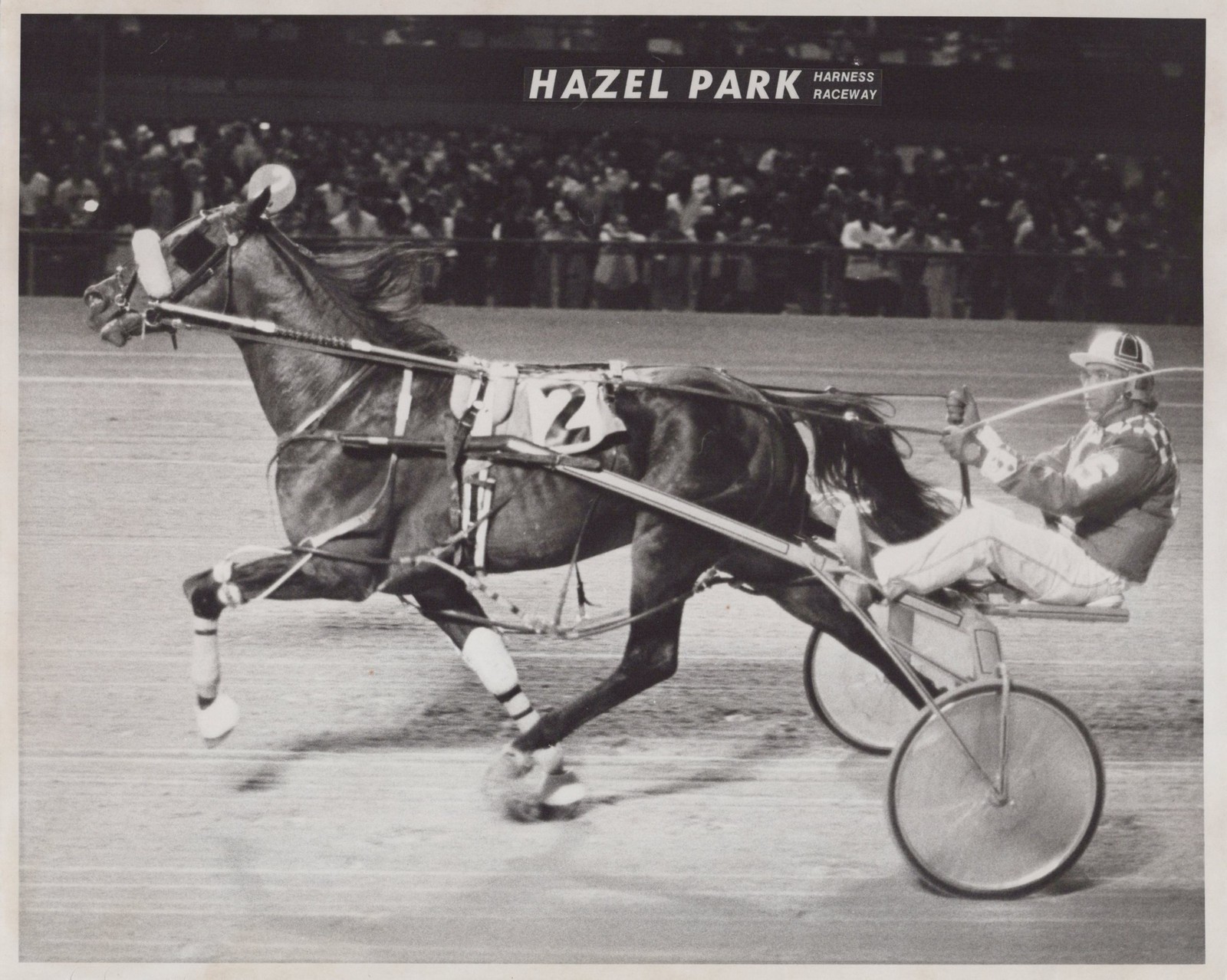 Call Money - Hazel Park Raceway - Sattleberg 1977 - Harness Racing Photo