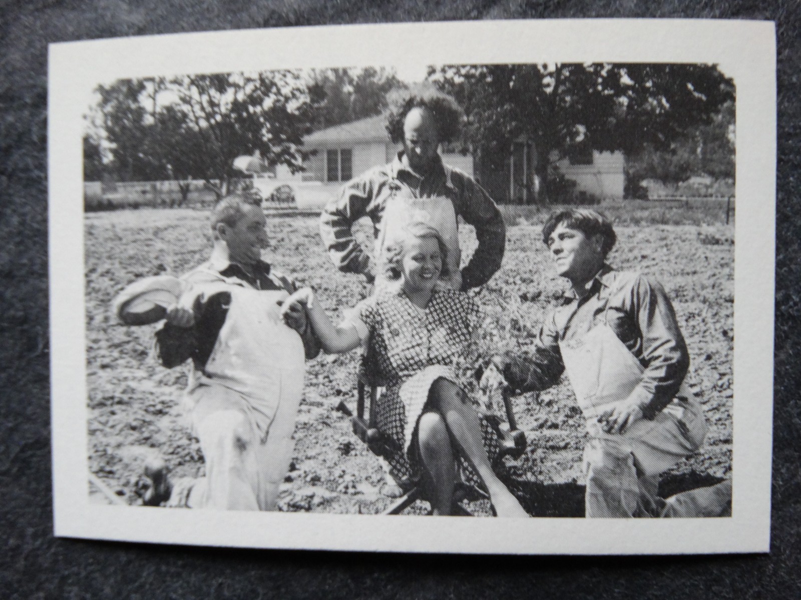 1985 FTCC The Three Stooges Trivia Backs #38 Moe Larry Curly Trading Card