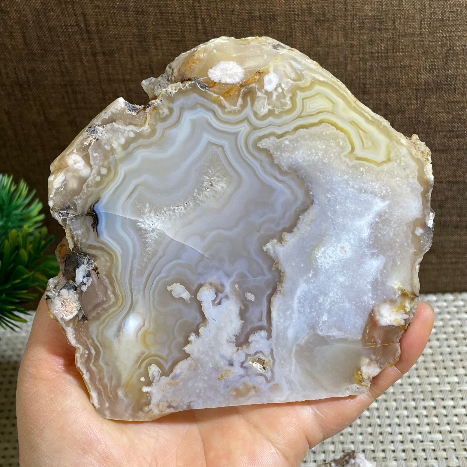 275g atural Sakura Agate Blossom Facet Rough Specimen Madagascar