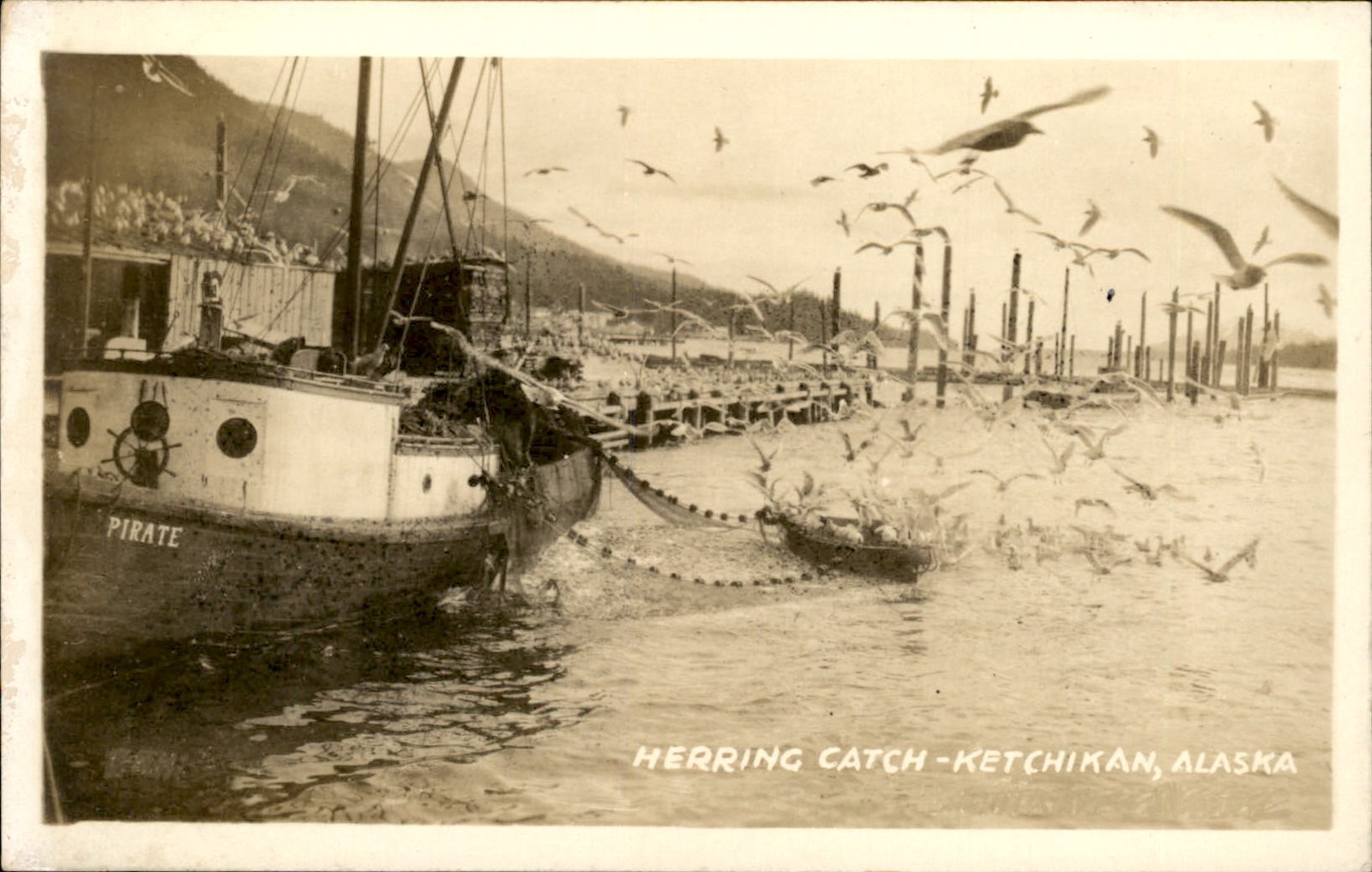 Ketchikan AK Herring Catch F. J. Hunt c1920s-30s Real Photo Vintage Postcard bhn