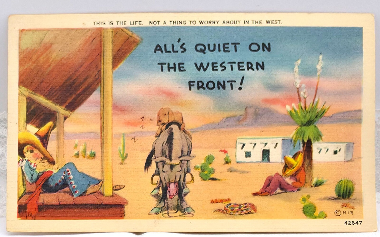 Vintage Humorous Postcard This is the Life ... All’s Quiet on the Western Front