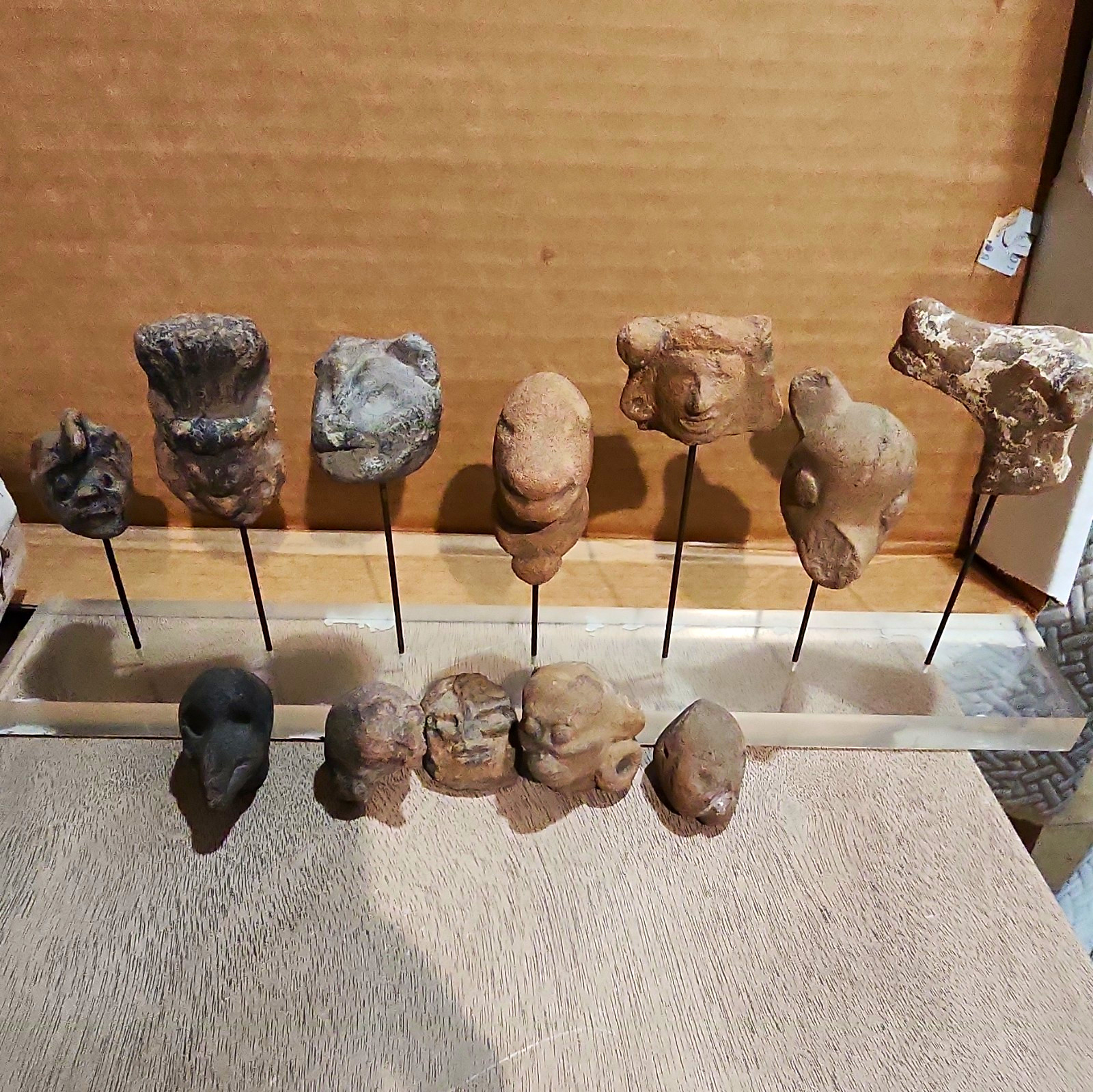 Collection of Ice Age Fossils & Ancient Pre-Columbian Pottery Artifacts on Cust