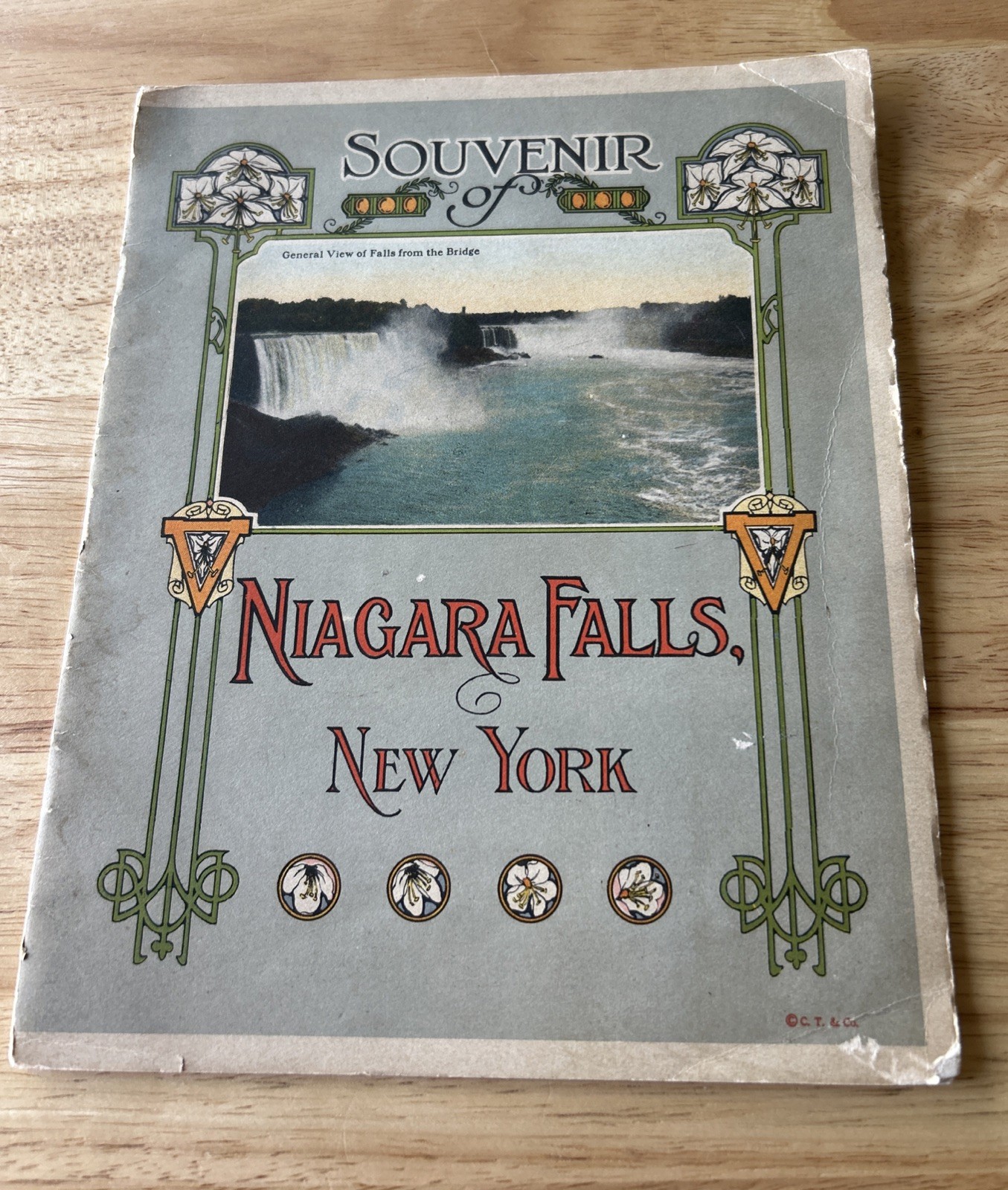 Antique 1921 Niagara Falls NY Curt Teich Souvenir View Book Art Nouveau Cover