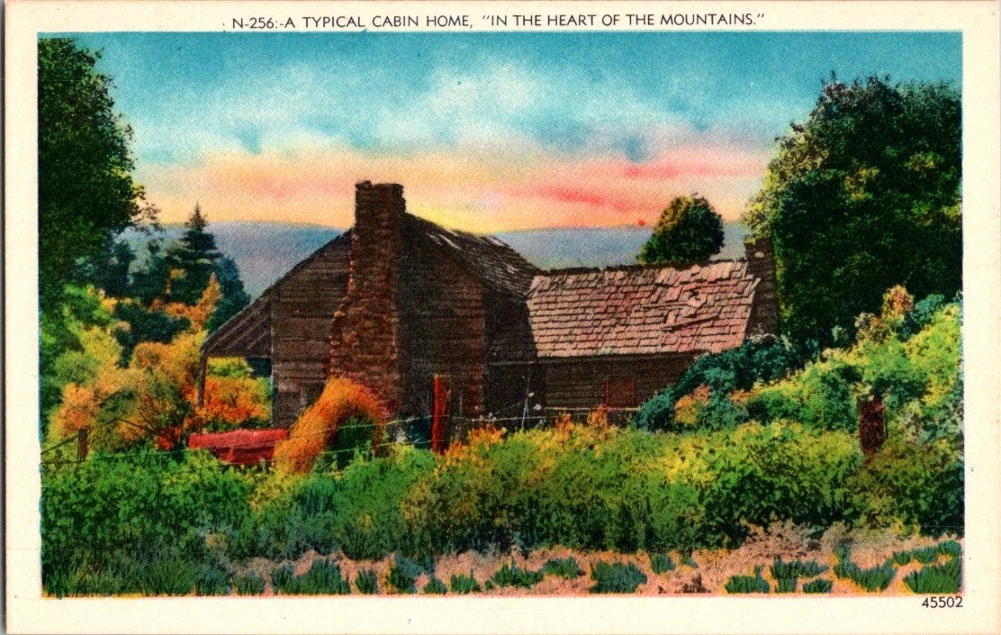 Vintage Cabin Home Postcard In The Heart of the Mountains N-256