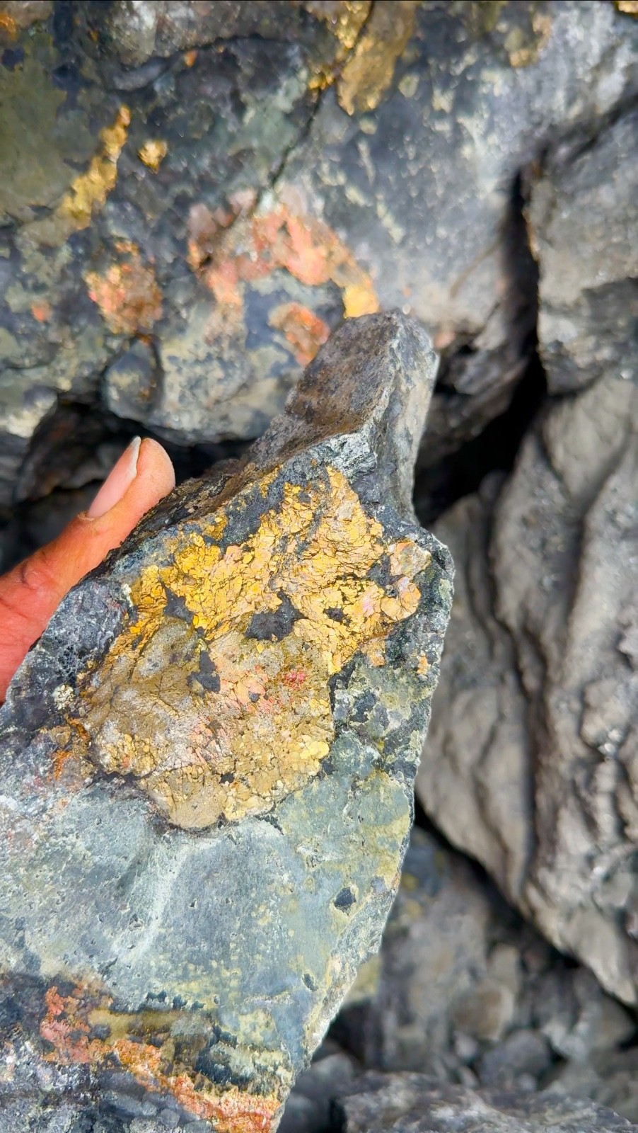 Gold + Platinum Group Ore | XRF-Tested Rhodium Palladium Iridium | Specimens Gold + Platinum Group Ore | XRF-Tested Rhodium Palladium Iridium | Specimens