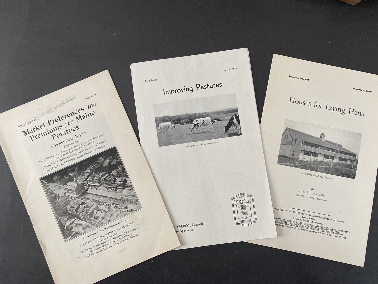 VTG 1930's Agricultural Bulletins University of Maine Extension Lot of 3 Farming