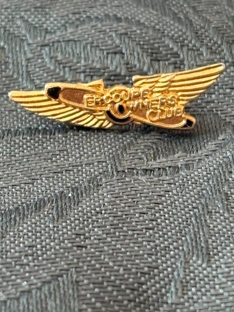 Vintage Erco Ercouple Owners Club Gold-Tone Lapel Pin (Wings)