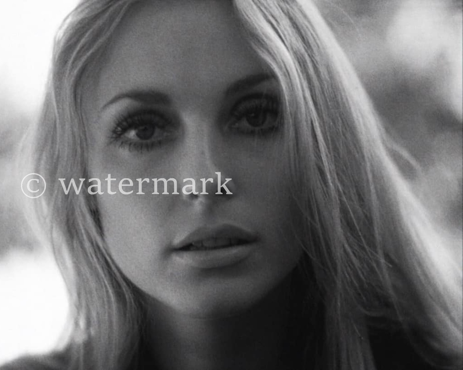 Sharon Tate Vintage 1960s Hollywood Actress  8x10 Publicity Photo Celebrity