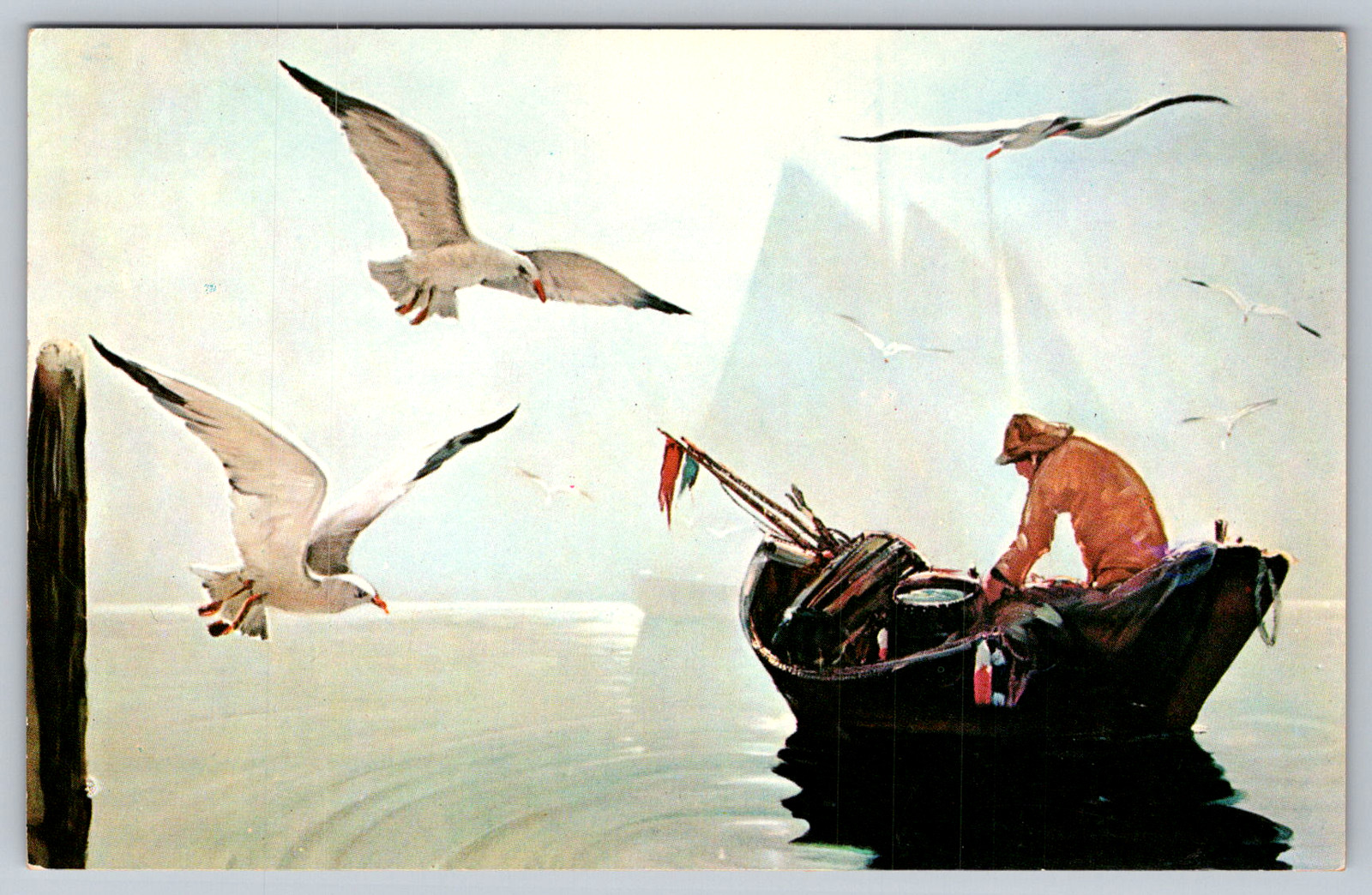 c1950s Maine Lobsterman Seagulls Fishing Eastern Illustrating Postcard