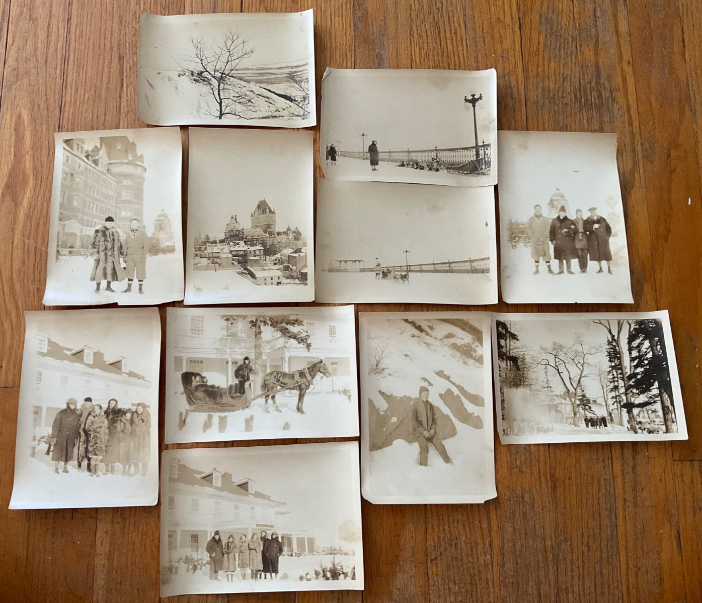Lot 11 Antique Photos Quebec City Chateau Frontenac Kent House Dog /Horse Sleds Lot 11 Antique Photos Quebec City Chateau Frontenac Kent House Dog /Horse Sleds