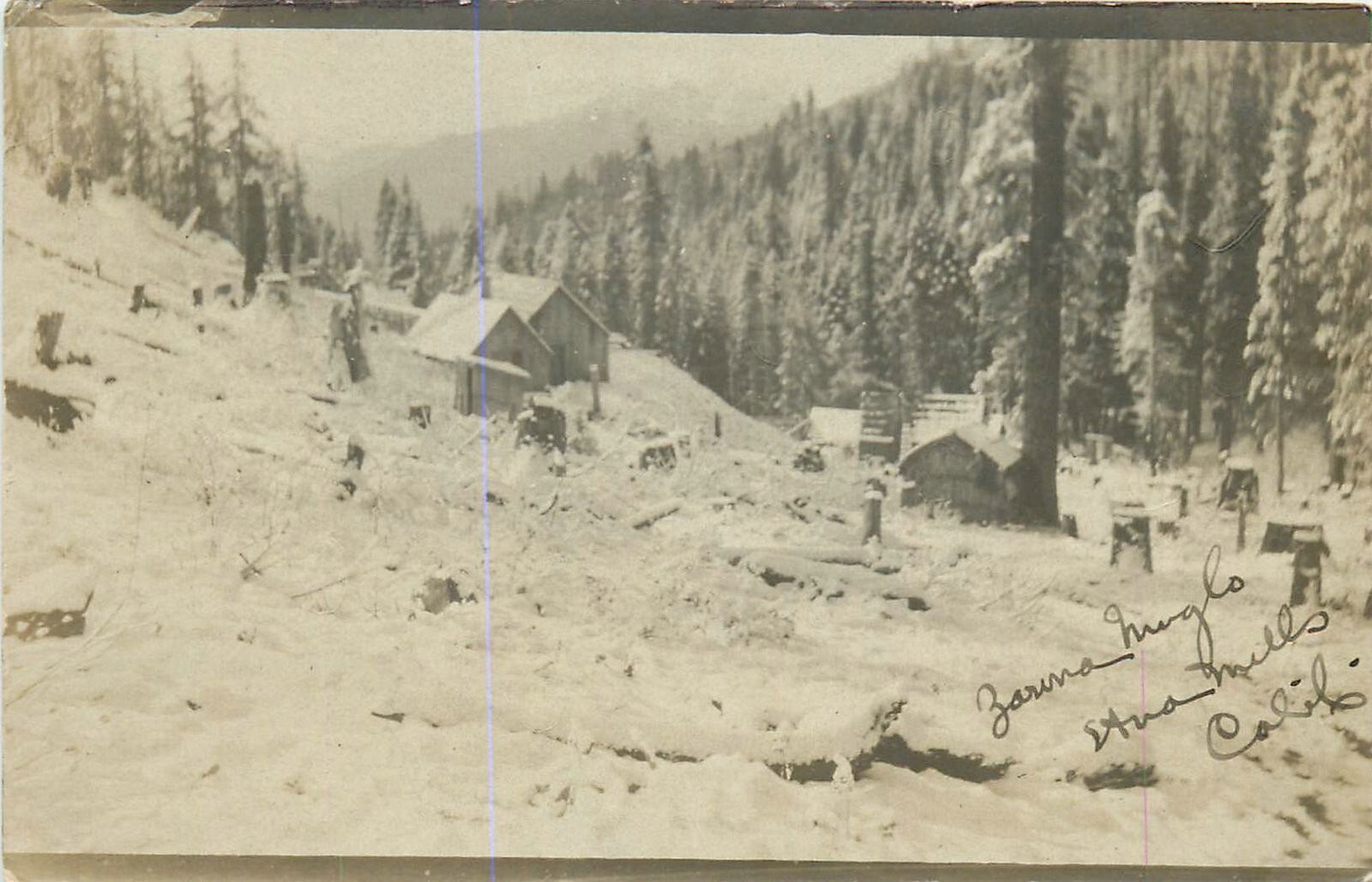 Etna Mills California Siskiyou Mining Camp occupation Postcard RPPC 1907 24-7333