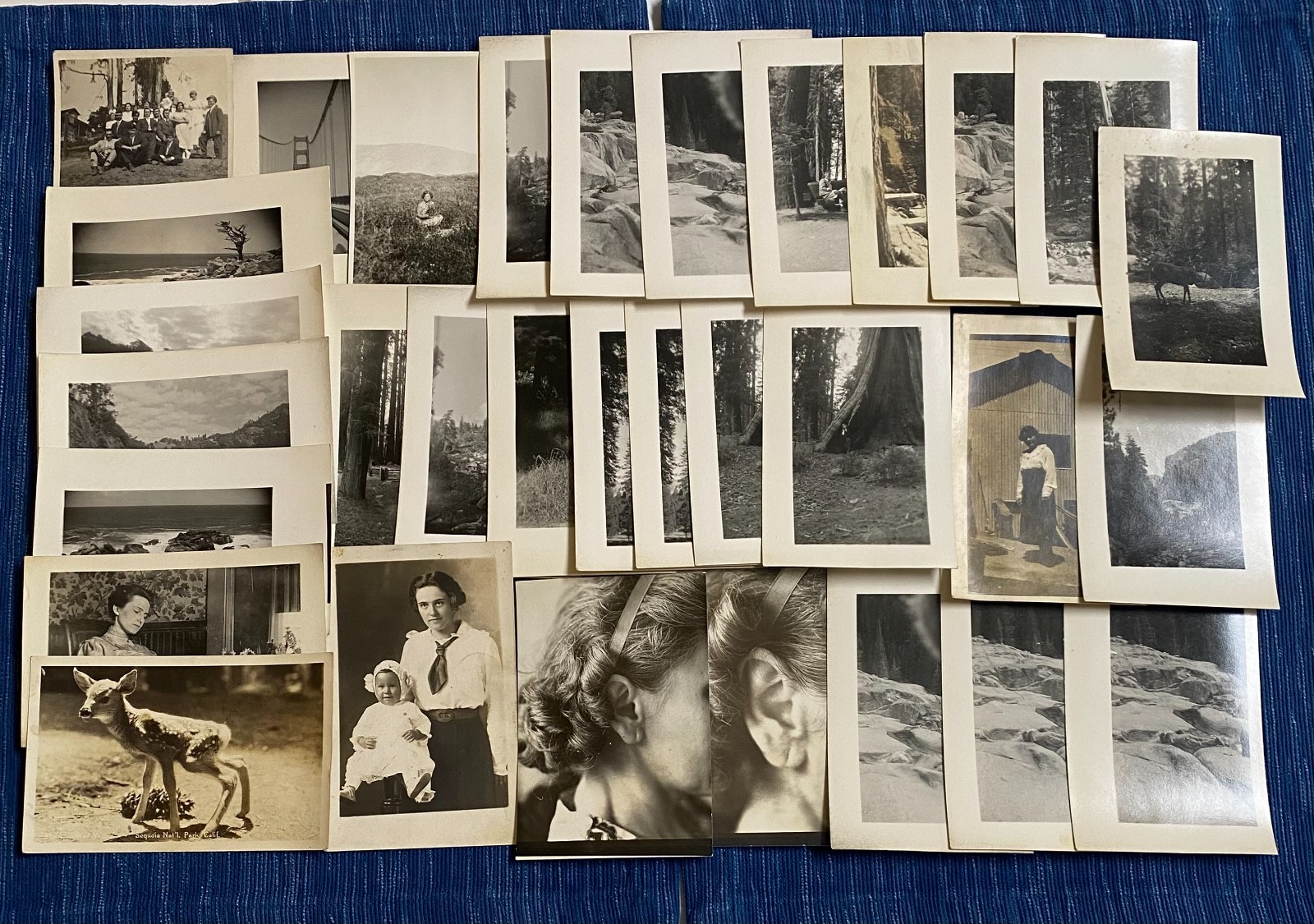 Lot of 31 Vintage RPPC Postcards Yosemite Sequoia Kings River Canyon + 103B