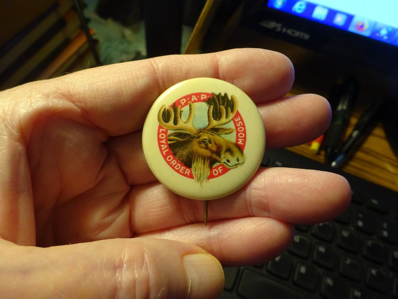 ANTIQUE C1890s CELLULOID PINBACK BUTTON \